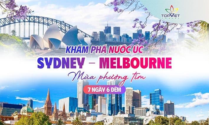 Khám Phá Úc – Mùa Hoa Phượng Tím